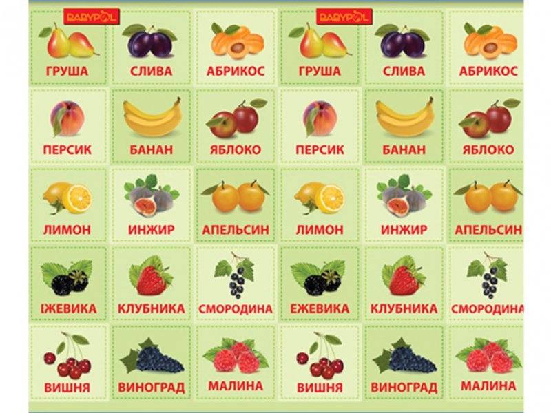 Фрукты и овощи на е