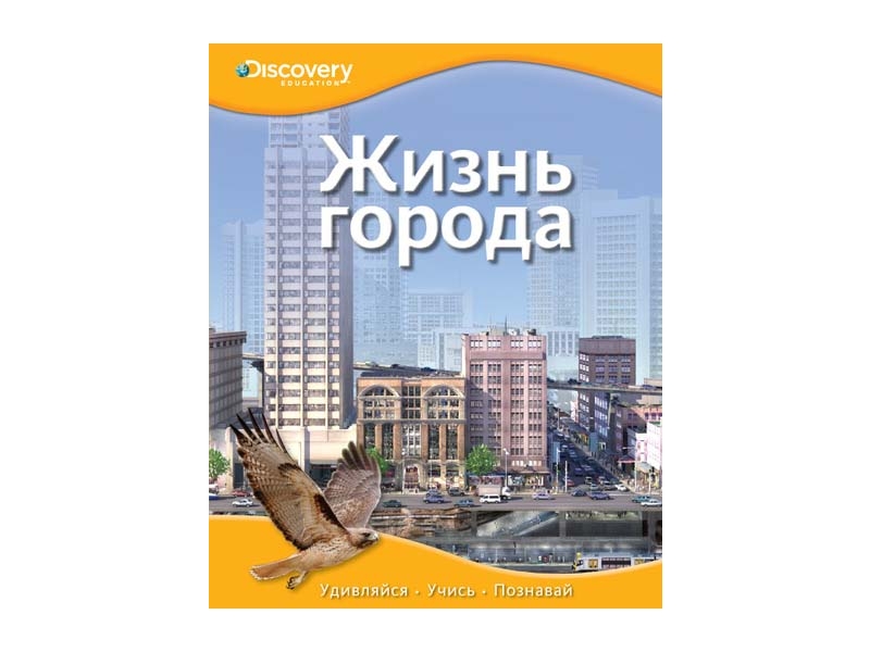 

Книга Machaon, Жизнь города
