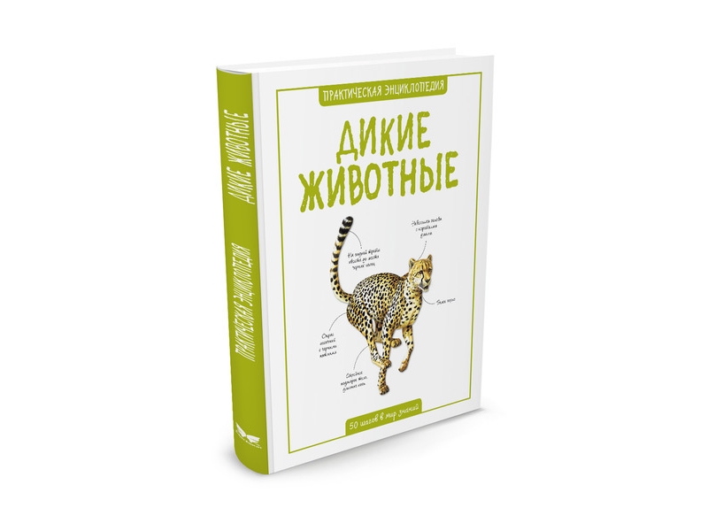 

Книга Machaon, Дикие животные