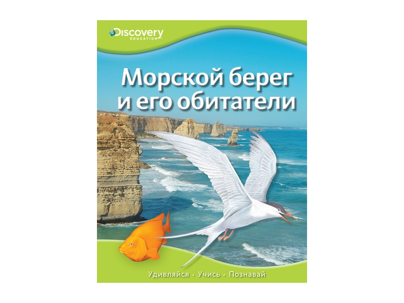 

Книга Machaon, Морской берег и его обитатели