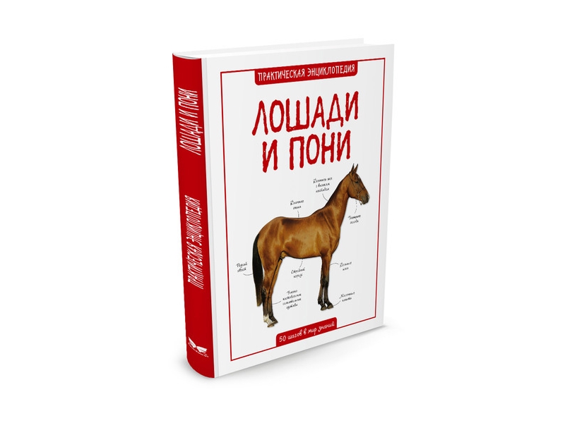 

Книга Machaon, Лошади и пони