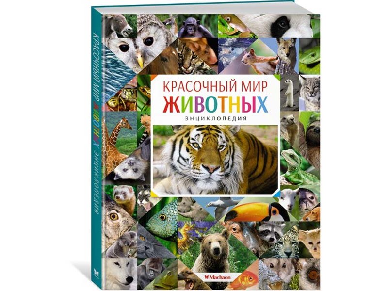 

Книга Machaon, Красочный мир животных. Энциклопедия