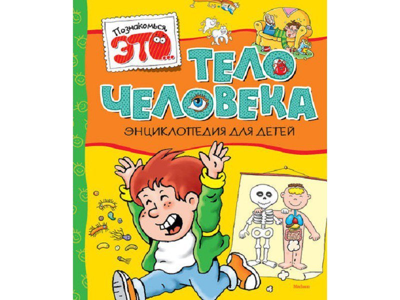

Книга Machaon, Тело человека (нов.обл.)