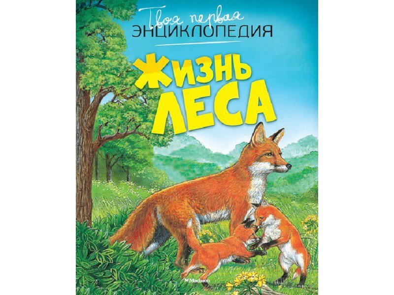 

Книга Machaon, Жизнь леса (нов.оф.)