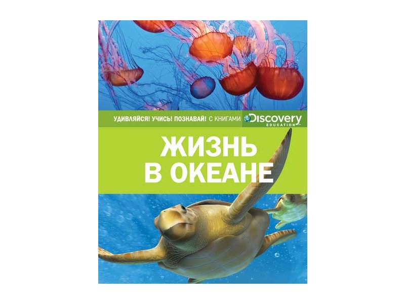 

Книга Machaon, Жизнь в океане (нов.оф.)