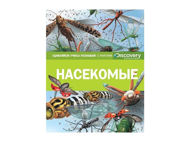 

Книга Machaon, Насекомые (нов.оф.)