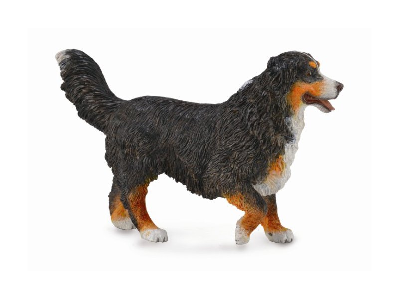 

Фигурка Collecta, Бернский зенненхунд, L
