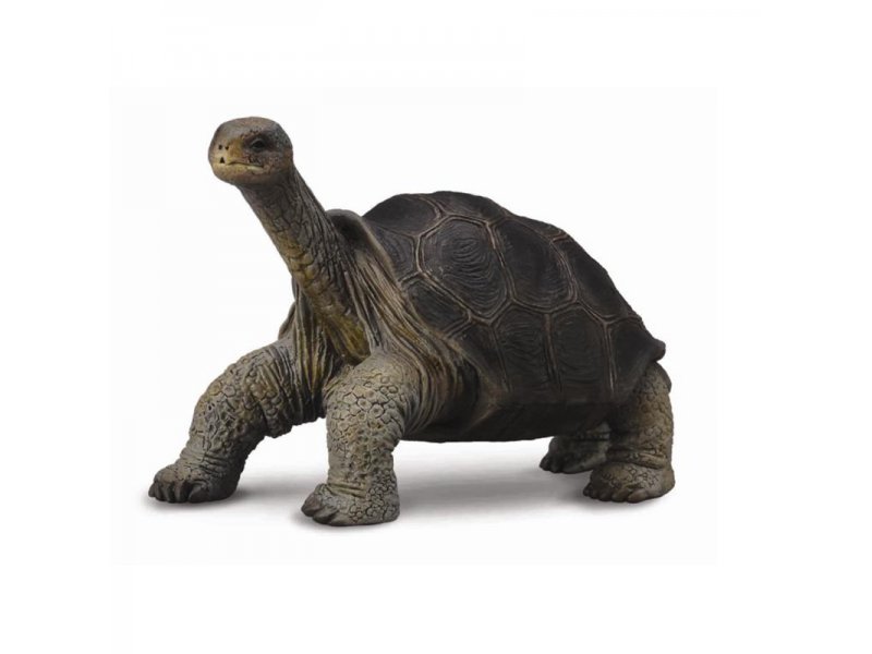 

Фигурка Collecta, Абингдонская слоновая черепаха
