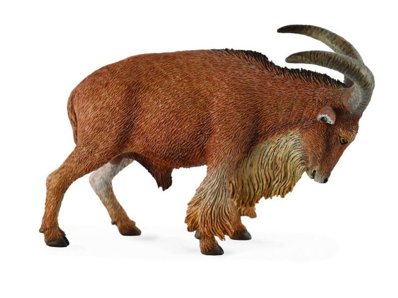 

Фигурка Collecta, Овца Барбари, L