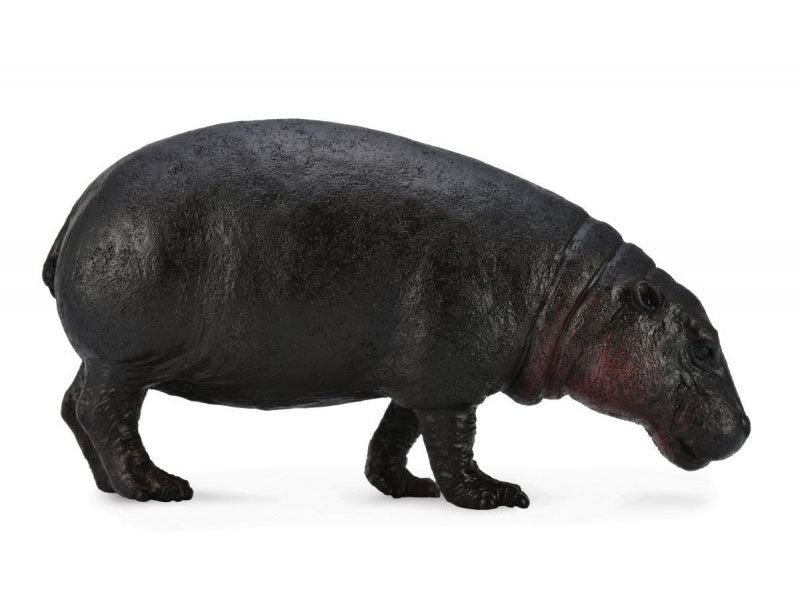 

Фигурка Collecta, Карликовый бегемот, L