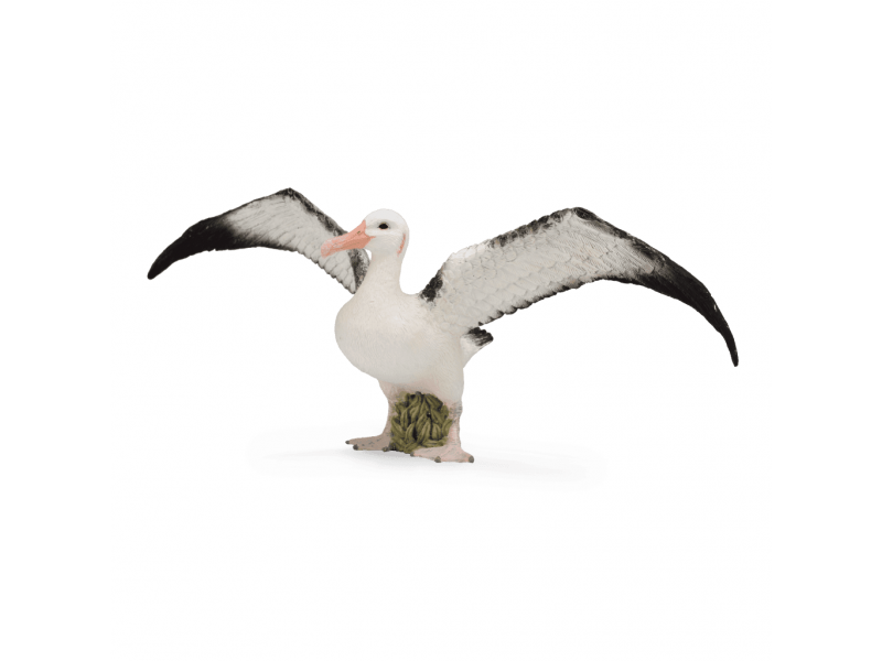 

Фигурка Collecta, Странствующий альбатрос, L