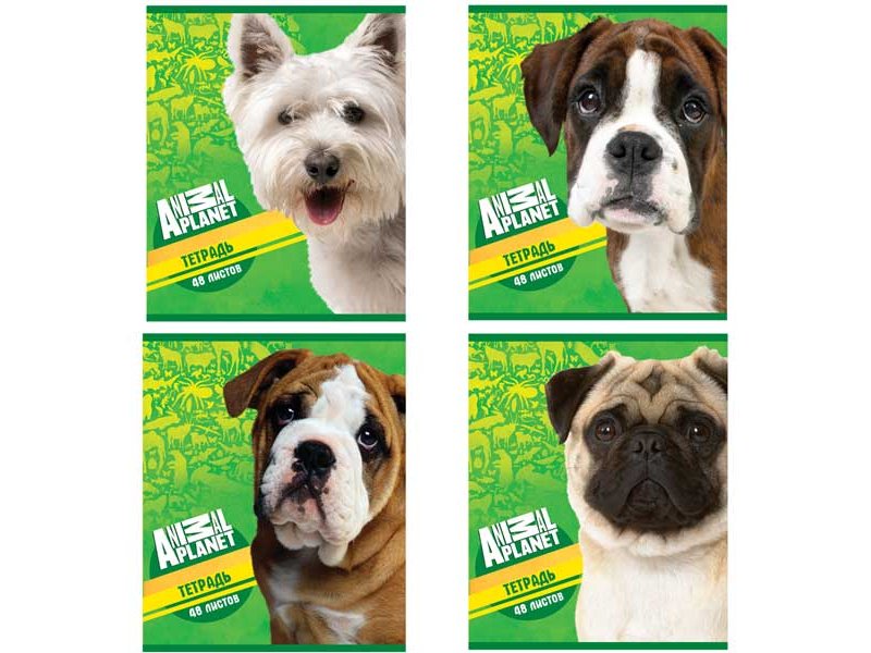 

Тетрадь Action!, Animal Planet, клетка А5, 48 л., 4 дизайна
