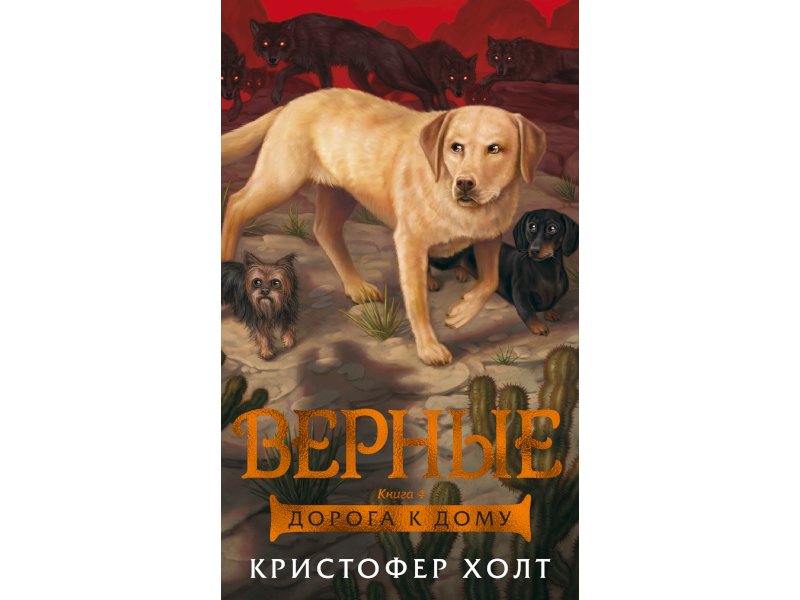 

Книга изд. Азбука, Верные. Книга 4. Дорога к дому