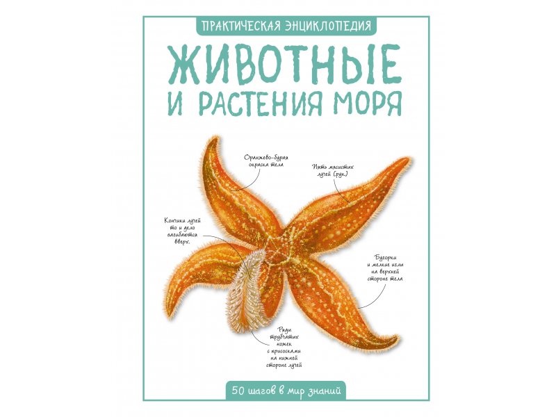 

Книга Machaon, Животные и растения моря