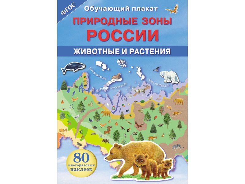 Природные зоны россии для дошкольников картинки