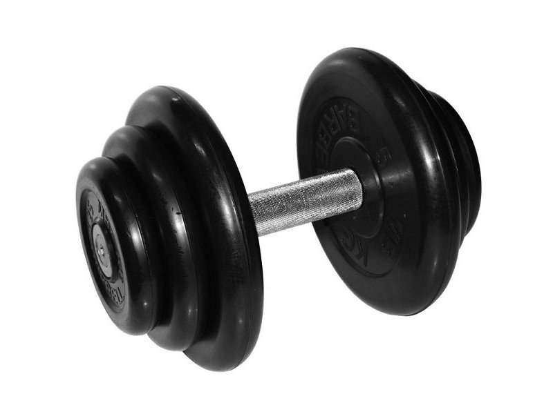 Штанга mb barbell. Гантель MB Barbell профи 36 кг. MB Bardell гантель профи 16 кг. MB Bardell гантель профи 11 кг. Гантель профи 48,5 кг Barbell.