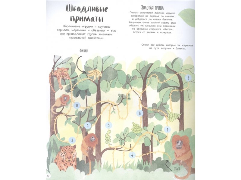 Большая Книга Эксмо Купить