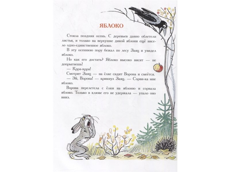 Книга Сутеева яблоко. Сутеев сказки содержание. Сказка Сутеева яблоко текст. Рассказы Сутеева для детей 1 класса.