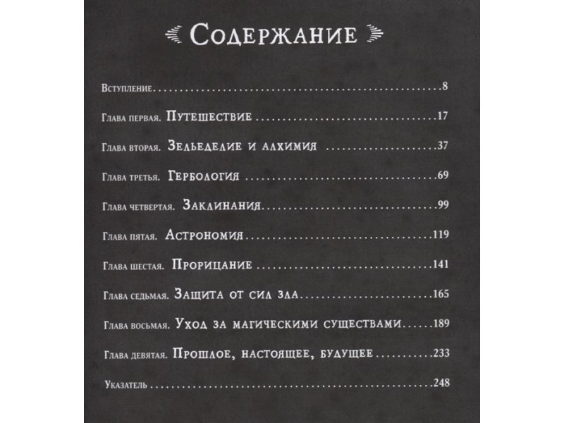 Новый Год Время Волшебства Гарри Новый Год Время Волшебства Гарри