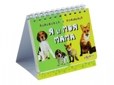 Книга Я и моя мама, Половинка к половинке / Азбукварик 1-00093701_1