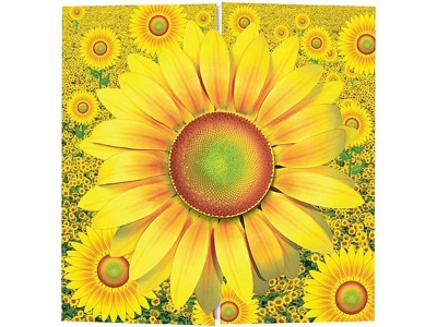 Набор Клевер для изготовления открытки, Солнечный цветок 1-00095579_2