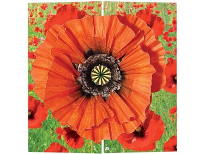 Набор Клевер для изготовления открытки, Огненный цветок 1-00095580_2