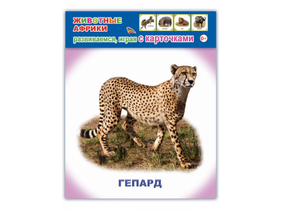 Карточки обучающие Животные Африки / Издательство Алфея 1-00145587_1
