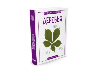Книга Деревья, Бедуайер К. / Machaon 1-00153905_1