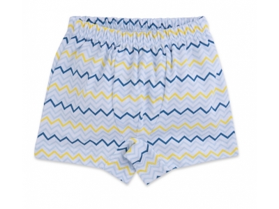 Трусы Prosto tak, для мальчика Зигзаги 1-00155042_1