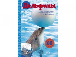 Книга Дельфины / Machaon 1-00079228_1