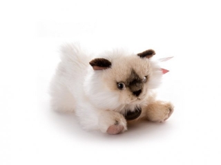 Мягкая игрушка Aurora, Кошка персидская 25 см 1-00034218_1