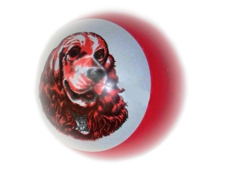 Мяч ЧПО им.Чапаева, диаметр 7,5 см 1-00002354_1