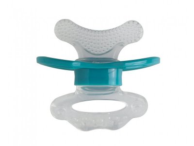 Прорезыватель-пустышка Bebe confort , Maternity этап -1, в коробочке для хранения. 1-00194811_1