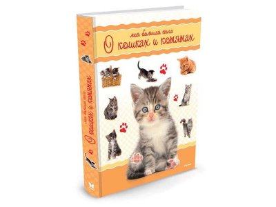 Книга Моя большая книга о кошках и котятах, Куйе Н. / Machaon 1-00115476_1