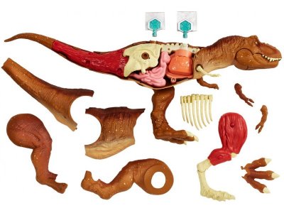 Набор игровой Jurassic World Анатомия динозавра 1-00211689_3