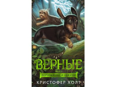 Книга Верные. Книга 3. Дорога чудес и невзгод  / изд. Азбука 1-00235925_1