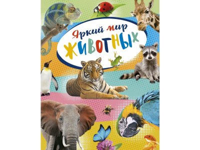 Книга Яркий мир животных  / Machaon 1-00236113_1