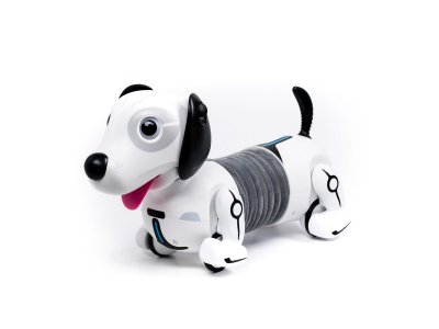 Робот Ycoo, Собака Дэкел 1-00239620_1