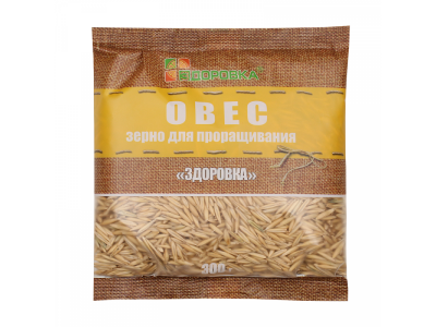 Зерно Здоровка для проращивания Овес 300 г 1-00241938_1