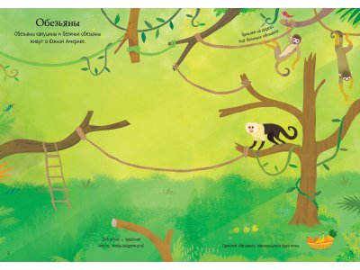 Книга детская Зоопарк Machaon 1-00255442_2