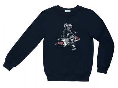 Джемпер для мальчика Diva kids Космос (толстовка) 1-00264910_1