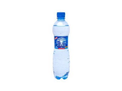 Вода минеральная Дупленская газированная 0,5 л 1-00264303_1