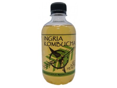 Напиток Ingria Kombucha Яблоко 330 г 1-00273140_1