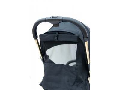 Прогулочная коляска книжка Ryan Prime Light gold special edition 2020 1-00278074_8