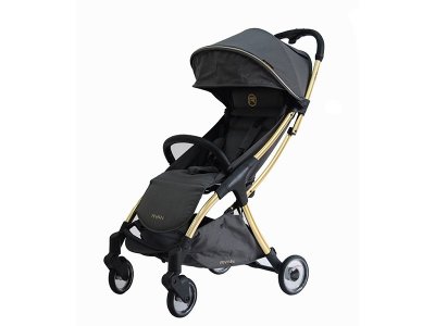 Прогулочная коляска книжка Ryan Prime Light special edition 2021 1-00278075_1