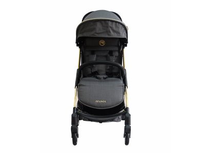 Прогулочная коляска книжка Ryan Prime Light special edition 2021 1-00278075_2