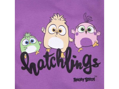Пижама Bossa Nova Angry Birds (джемпер+брюки) 1-00281528_3