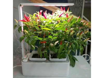 Смарт-сад Назад к истокам iGarden LED с подсветкой, компактный 1-00283328_2