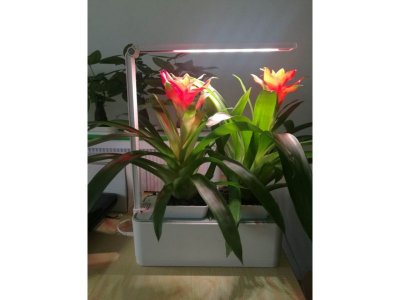 Смарт-сад Назад к истокам iGarden LED с подсветкой, компактный 1-00283328_8