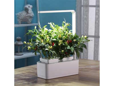 Смарт-сад Назад к истокам iGarden LED с подсветкой, компактный 1-00283328_13